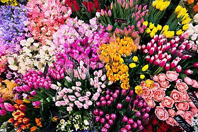 游戏比赛作品《白笔绘途》 益智画图闯关大受好评